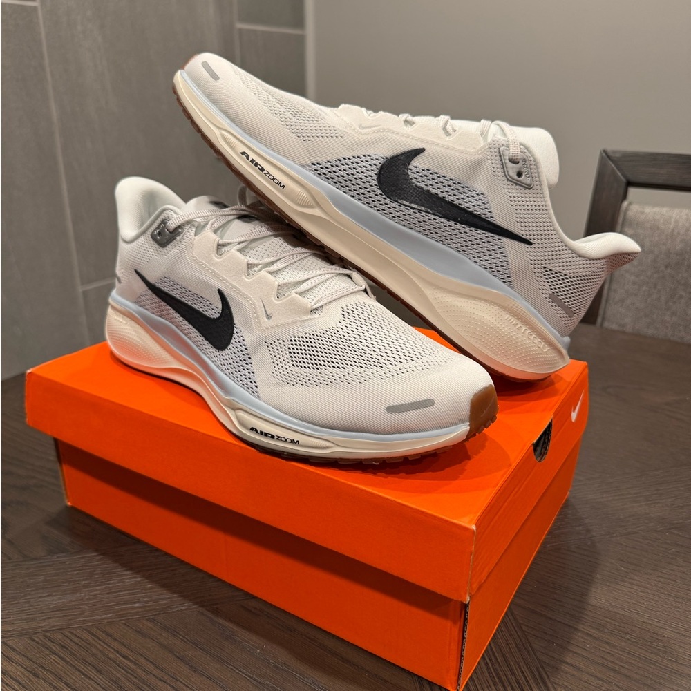 Nike Pegasus 41